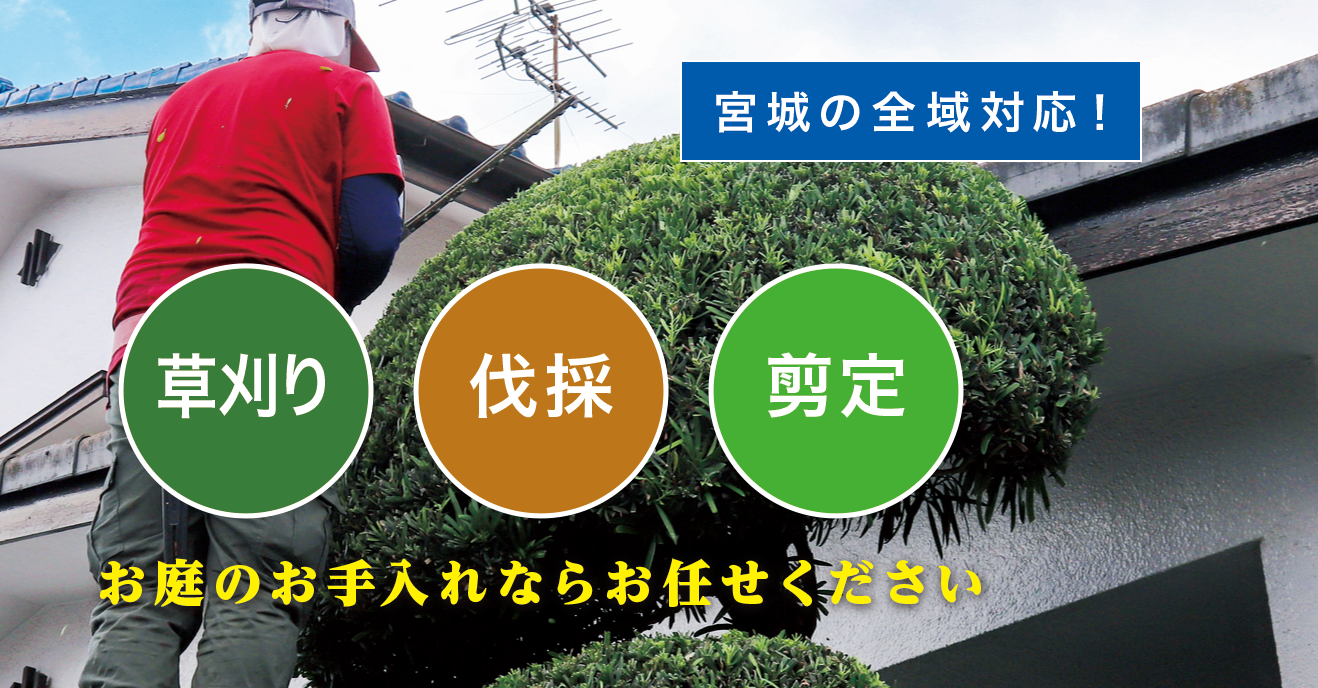 白石市で草刈り・剪定・伐採なら「お庭の大将」