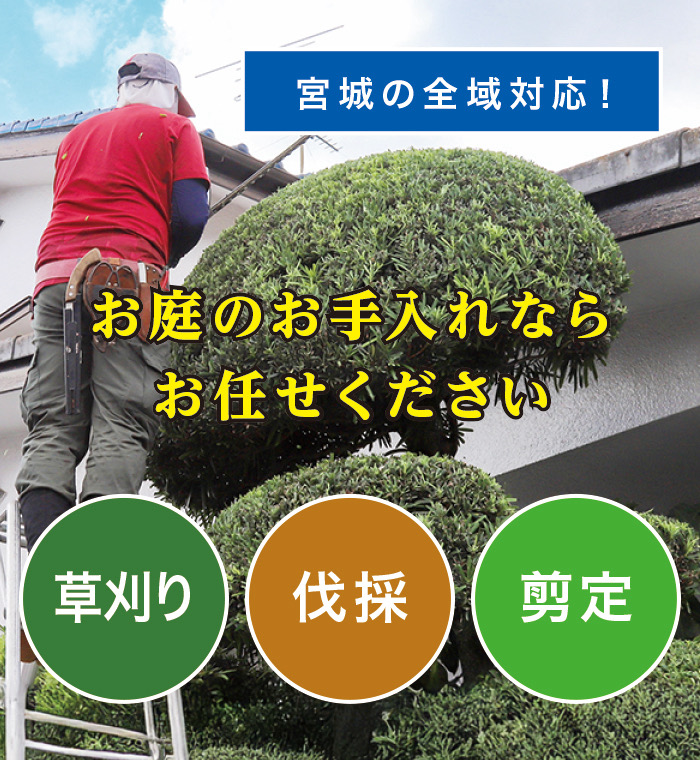 山元町で草刈り・剪定・伐採なら「お庭の大将」 山元町で草刈り・剪定・伐採なら「お庭の大将」